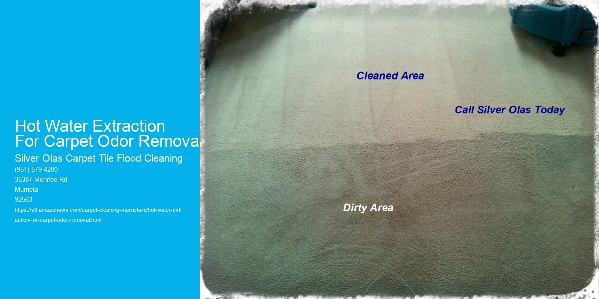 Hot Water Extraction For Carpet Odor Removal