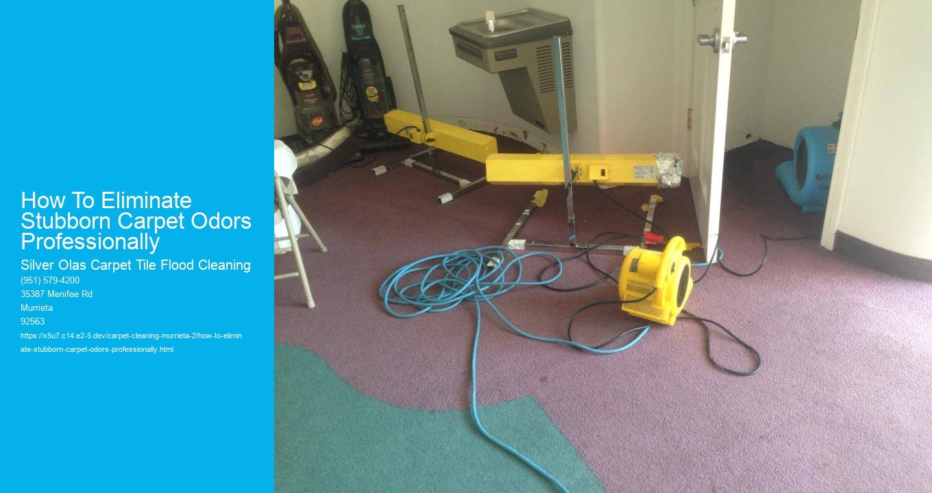 How To Eliminate Stubborn Carpet Odors Professionally