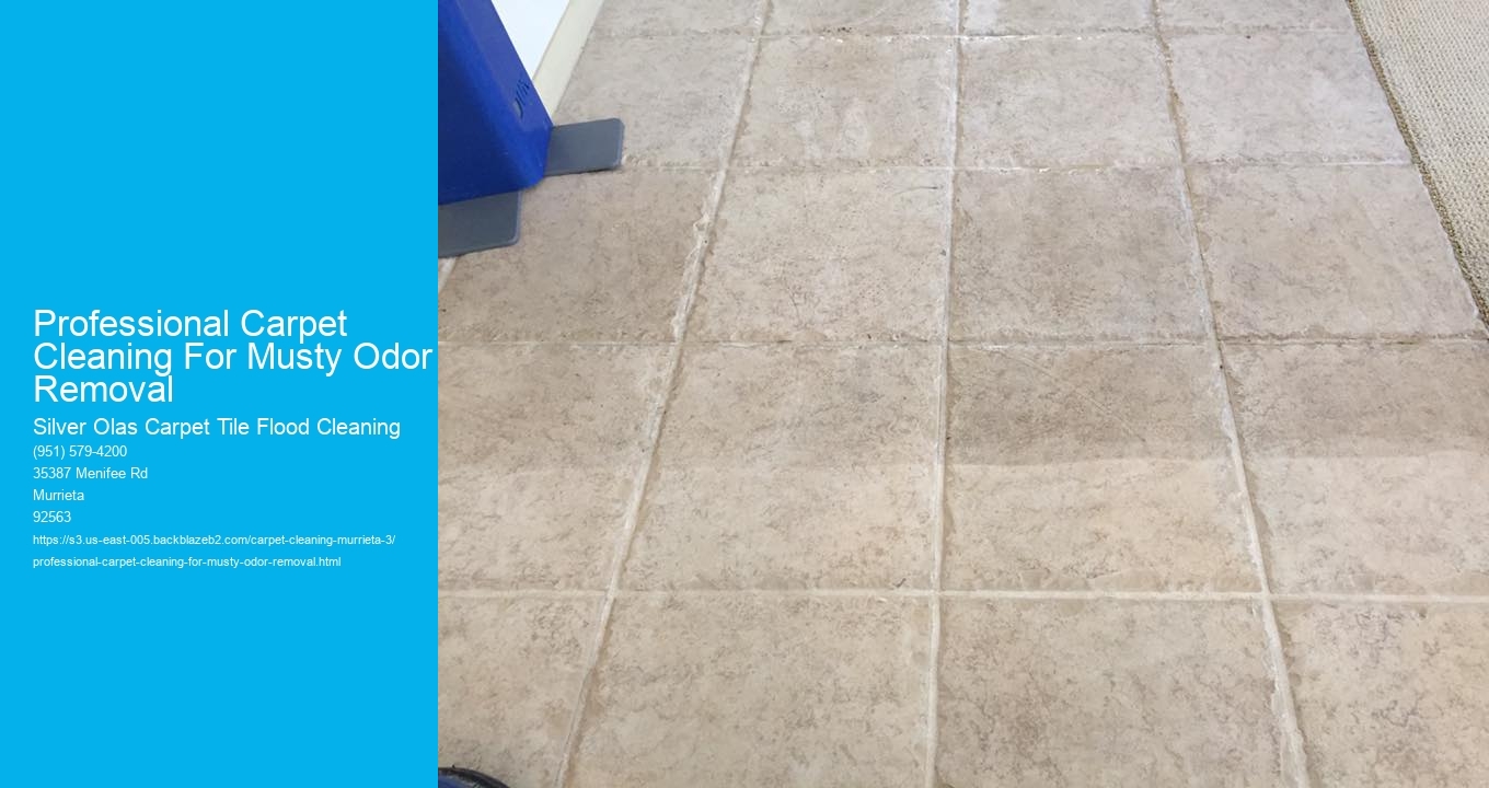 Professional Carpet Cleaning For Musty Odor Removal