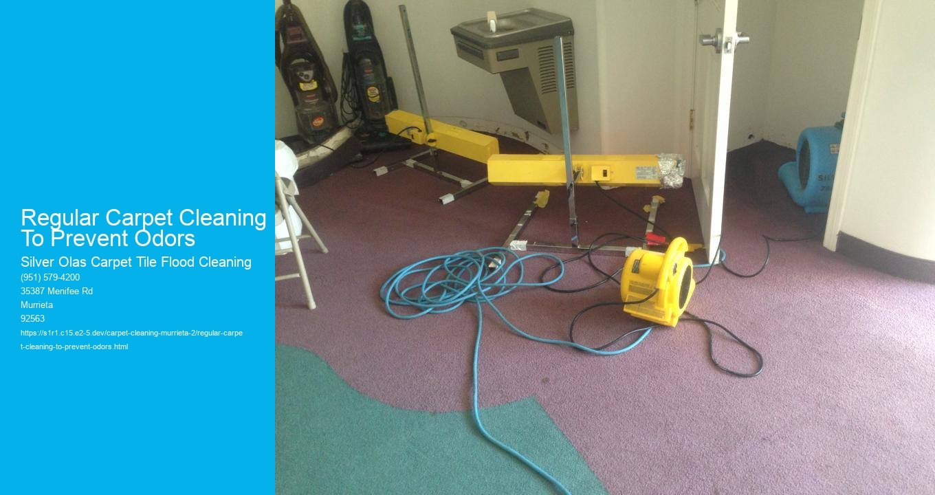Regular Carpet Cleaning To Prevent Odors