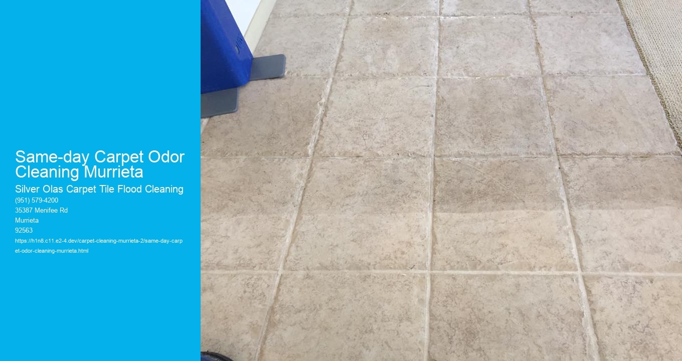 Same-day Carpet Odor Cleaning Murrieta